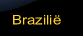 Klik hier voor meer informatie over Brazili